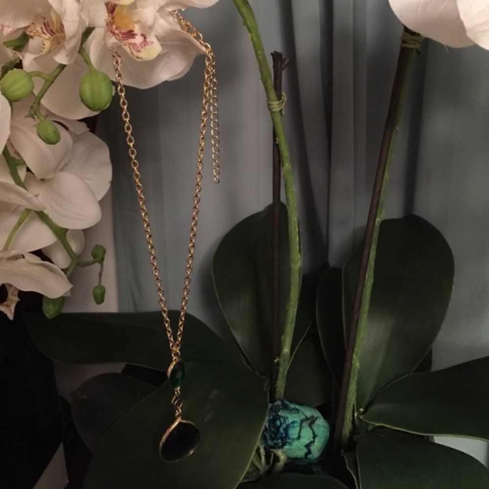 🎉Final deal🎉Cache neckless  - Picture 3 of 3